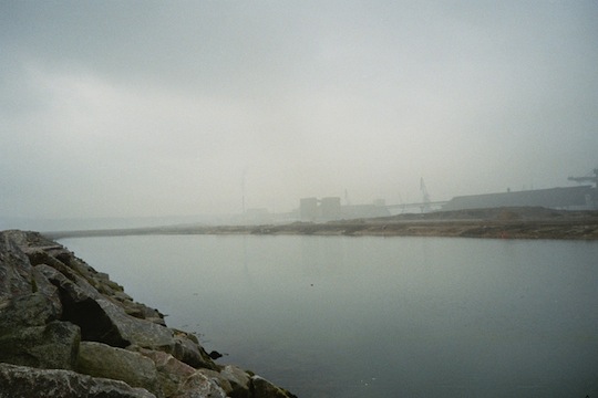 imm036